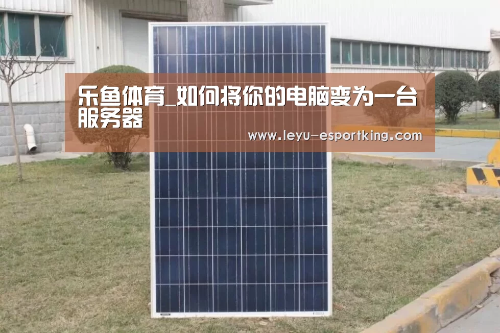 乐鱼体育_如何将你的电脑变为一台服务器(图2) 乐鱼体育平台