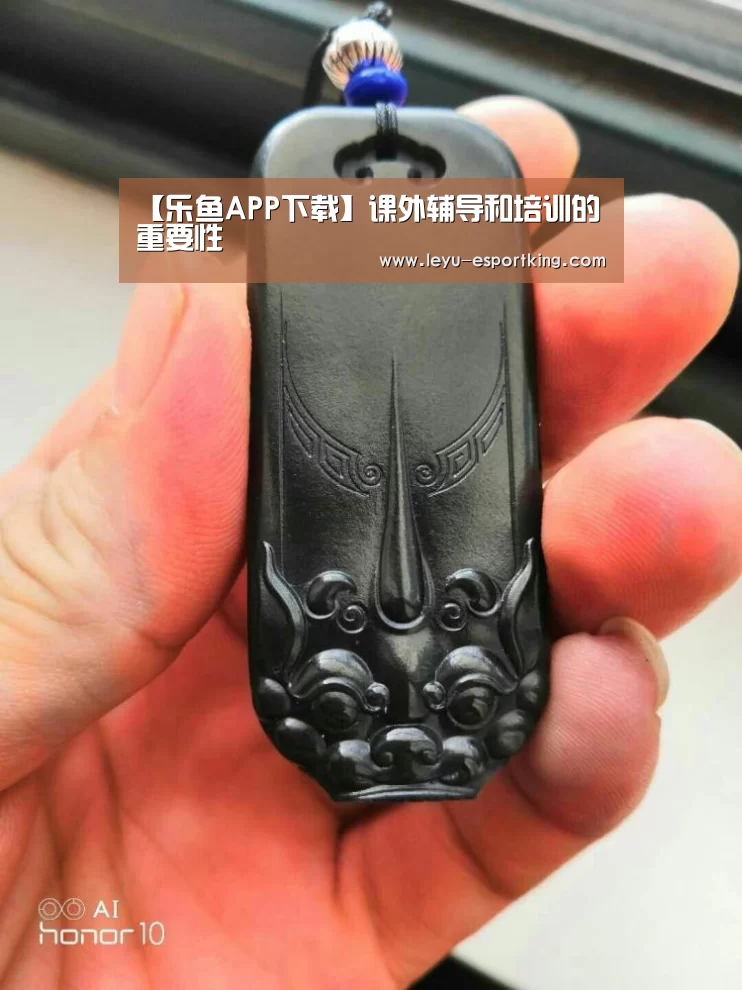 【乐鱼APP下载】课外辅导和培训的重要性(图3) 乐鱼体育平台